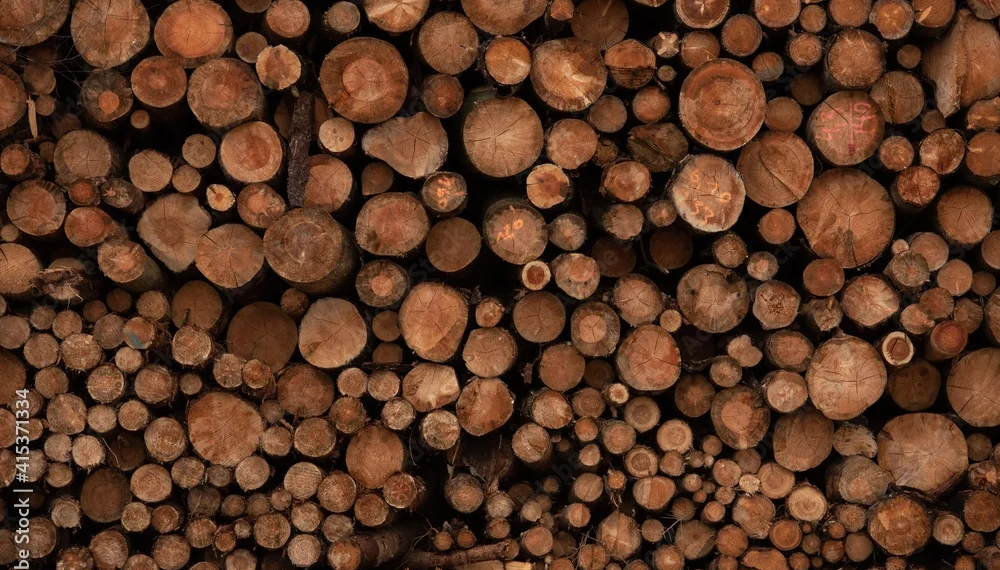 Houtbouw vs houtskeletbouw