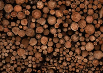 Houtbouw vs houtskeletbouw