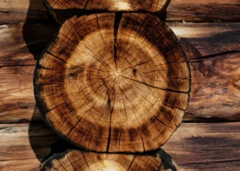 Hoe brandveilig is het bouwen in hout?