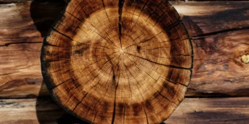 Hoe brandveilig is het bouwen in hout?