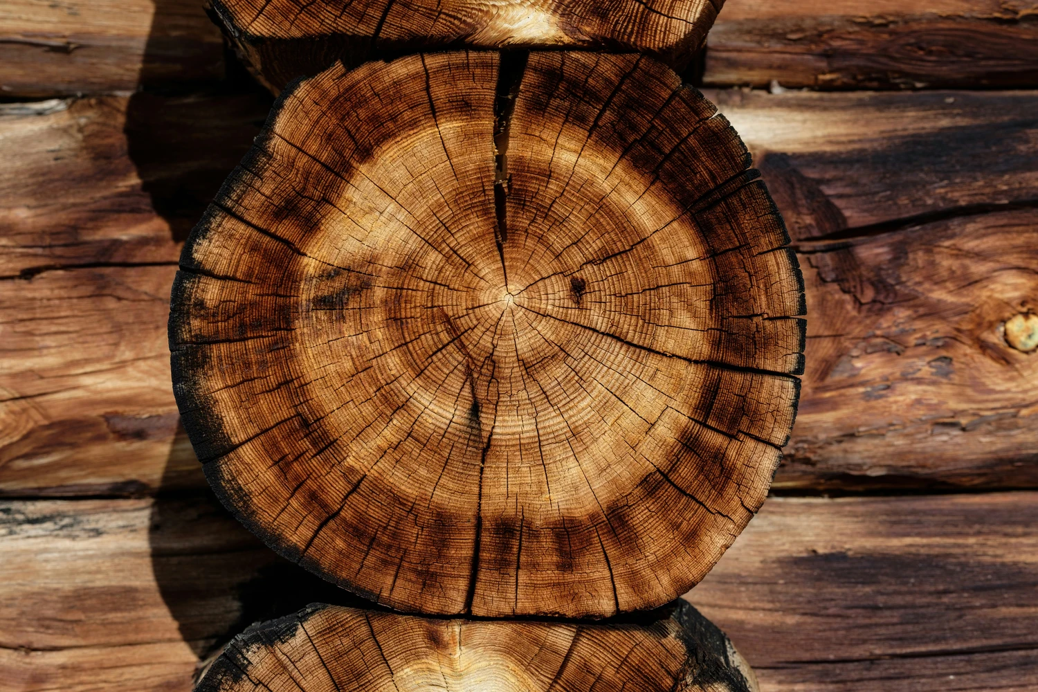 Hoe brandveilig is het bouwen in hout?