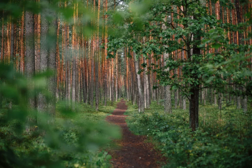 klimaatverandering