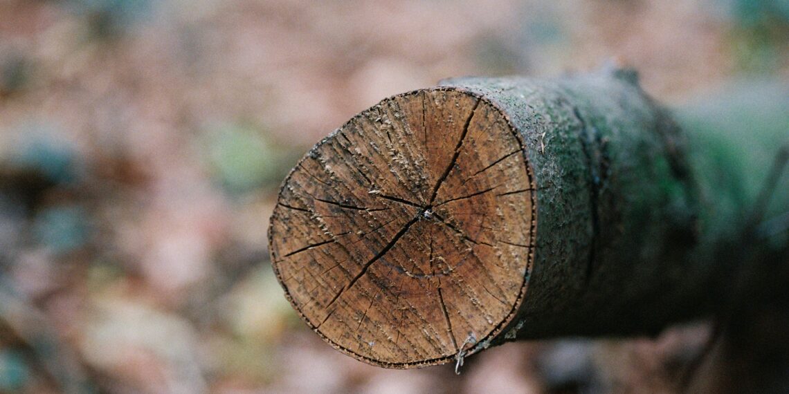 Hout natuurlijk