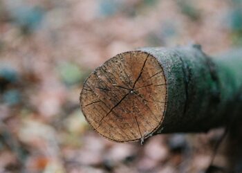 Hout natuurlijk