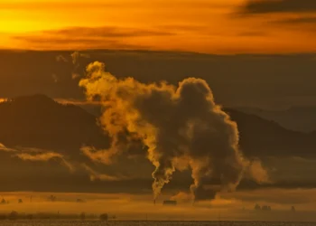 CO2-credits
