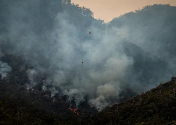 Foto door Matt Palmer op Unsplash