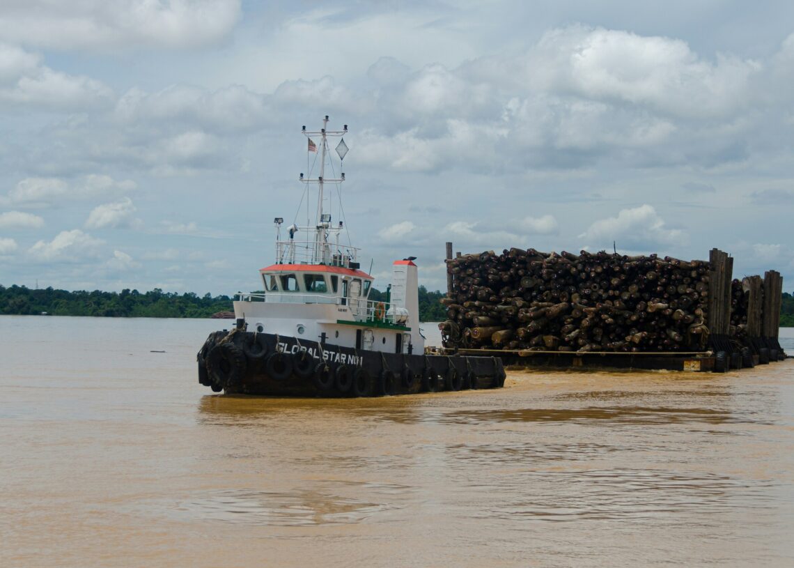 Hoe verhoudt bamboe zich tot andere duurzame materialen? - Houtbouw Netwerk