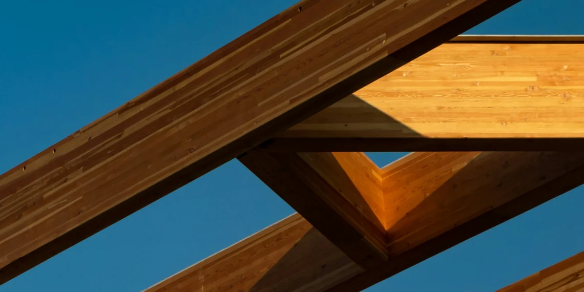 mass timber constructies
