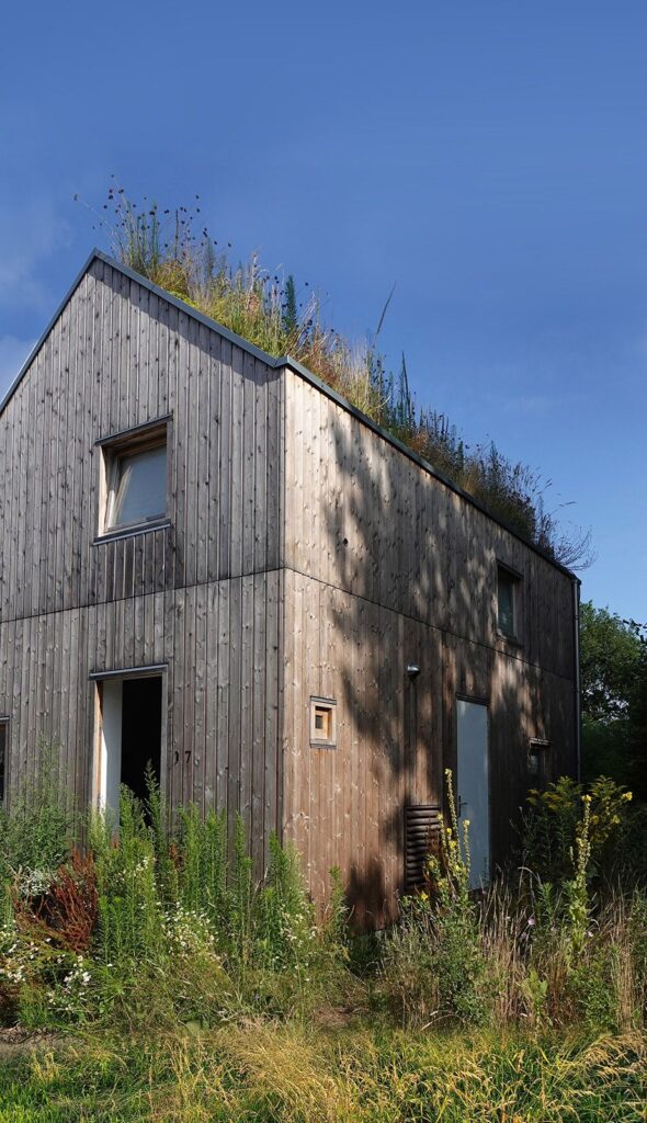House S-1