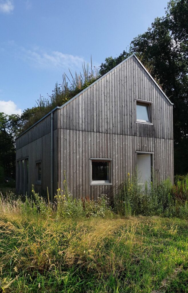 House S-1 