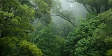 biodiversiteit
