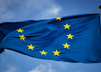 EUDR houtsector